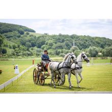 Concursul de atelaje de la Olteni și-a desemnat câștigătorul: Bartha Eduárd 